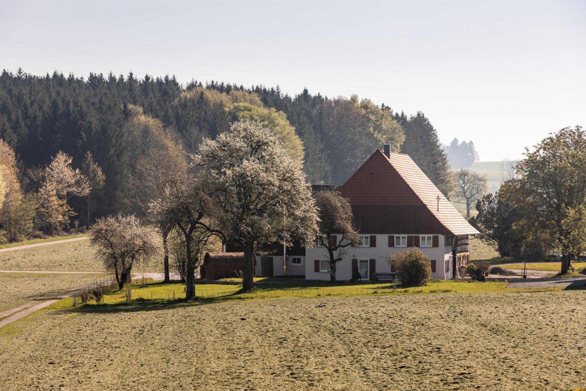 Ferienhof Greuthof Bad Wurzach Exterior photo